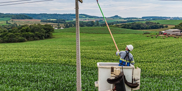 Paraná Trifásico leva rede elétrica mais potente e estável à agroindústria cada vez mais moderna e inovadora