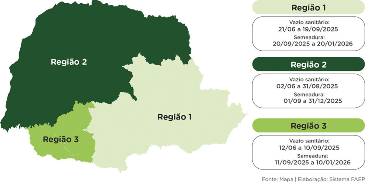 Vazio sanitário da soja no Paraná começa em junho